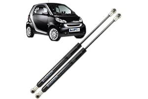 BIAREN 2 puntales de gas para maletero trasero Smart City Coupe Fortwo 1998-2007 sistema de soporte de elevación 130 (N) 305 MM 113000013 0000618V007