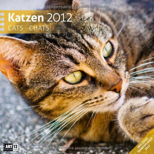 Katzen 2012 Art12 Collection: Broschürenkalender