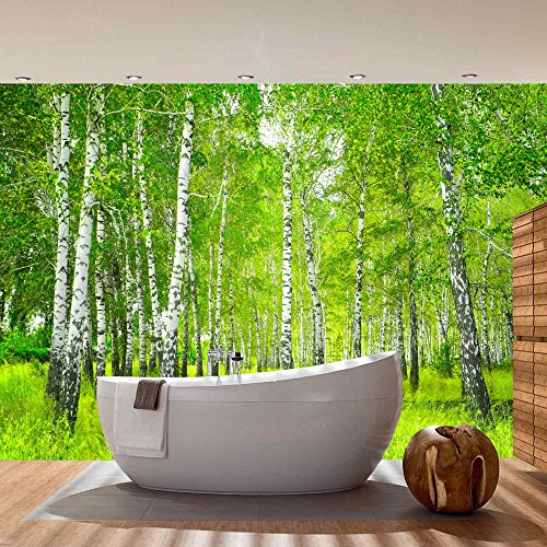 Vlies Fototapete PREMIUM PLUS Wand Foto Tapete Wand Bild Vliestapete – SUNNY BIRCH FOREST – Birkenwald Bäume Wald Sonne Birkenhain Birke Birken Gras Natur Baum – no. 112, Größe:300x210cm Vlies - 7