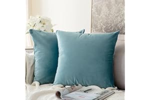 MIULEE Lot de 2 Housses de Coussins en Velours Décoratif Canapé Taie d'oreiller Super Lisse Doux Confortable Decoration Maison Salon Chambre pour Canapé 55X55CM Vert d'eau