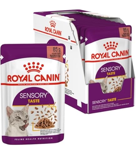 KITTY Cat Paté rund & kalkoen, 48 x 85 g (grote verpakking), natvoer voor katten, graanvrij kattenvoer met taurine en zalmolie, compleet voer met een hoog vleesgehalte, Made in Germany KITTY Cat Paté rund & kalkoen, 48 x 85 g (grote verpakking), natvoer voor katten, graanvrij kattenvoer met taurine en zalmolie, compleet voer met een hoog vleesgehalte, Made in Germany
