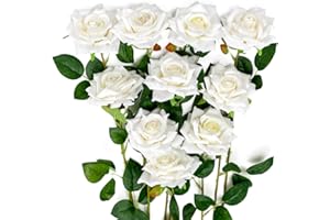 JUSTOYOU 12 Piezas Flores Artificiales Rosas Flores de Terciopelo Falso Largo Tallo Rosas Artificiales Ramo de Flores para Bodas Decoraciones para el hogar (Blanco)