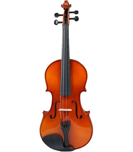 Hertz VG-03 Violin : Amazon.in: Musical Instruments