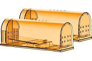 Arvov Żywa pułapka na myszy, 2 sztuki, łatwa w użyciu, bezpieczna dla zwierząt domowych i dzieci, na szczury, wielokrotnego użytku, higieniczna, z otworami wentylacyjnymi, przyjazna dla zwierząt
