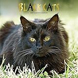 Black Cats - Schwarze Katzen 2019 - 18-Monatskalender (Wall-Kalender) by
