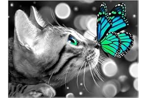 DCIDBEI Diamante quadrato 50x40cm fai da te diamanti gatto e farfalla principianti quadrati paint by numbers dipingere con i numeri adulti e bambini diamond painting grandi dimensioni punto croce decorativi