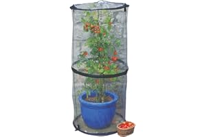 TIERRA GARDEN Haxnicks Pop-Up Tomato Cloche | Tomato Plant Protection Against Blight Slugs Harsh Weather | Transparent, 50 x 50 x 110 cm | Cloche010101