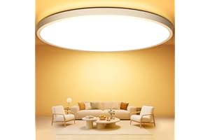 Swoieltr Ø30CM Plafoniera Soffitto, 3000K 24W Ultra-Sottile Rotonda Lampadari LED 2400LM Lampada da Soffitto Ultra-Sottile IP44 Impermeabile Plafoniere Cucina per Soggiorno, Corridoio, Bagno, Cantina