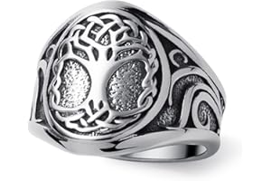 WESTMIAJW Viking Rings for Men Norse Runes Compass Ring Stainless Steel Jewellery Q,S,T1/2,V1/2,Y,Z+1