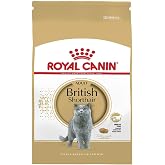 Royal Canin British ShortHair Kuru Kedi Maması, Yetişkin, 2 Kg