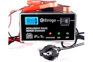 Etrogo Ładowarka do akumulatora samochodowego 12 V, 24 V, 1 A/10 A, 5-stopniowa ładowarka pulsacyjna z wyświetlaczem LED do samochodu, motocykla lub łodzi