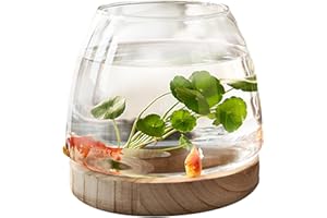 PW TOOLS Mini Fish Tank, Glass Fish Bowl, Small Round Clear Glass Vase Desktop Fish Tank With Wooden Base, Hydroponic Plant Vase, for Home Office Flower Arrangement Decor