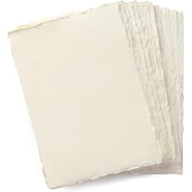 Lot De 25 Enveloppes DIN Long Eucalyptus Vert Pastel Mat – 110 X 220 Mm – Sans Fenêtre – Collage Humide – Série FarbenFroh – Idéal Invitations & Cartes