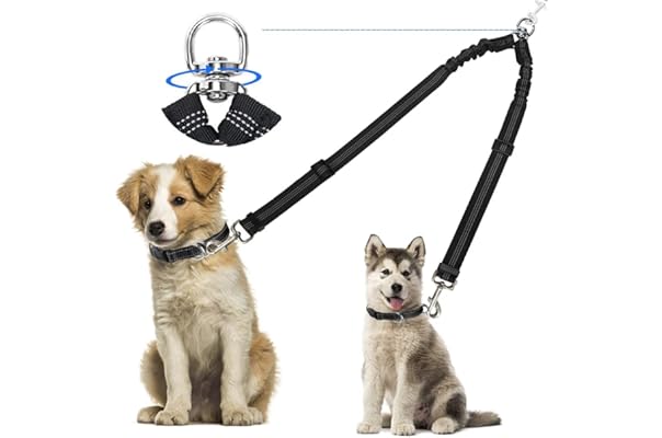 cat backpack for cats