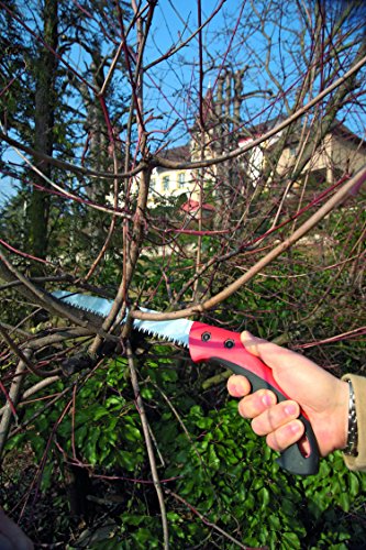 Felco-Baumsäge mit Träger Nr. 611 - 3