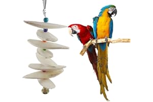 luckything Sepia Bowl Squid Sepia Bone Chew Toy Bird Toy Sepia Bowl Sepia Bowl Sepia Feed Lime for Birds, Parrots, Budgies, Cockatiels, Cockatoos, Lovebirds