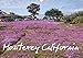 Produktbild Monterey California (Wandkalender 2019 DIN A3 quer): Fotos von Natur und Menschen rund um die Monterey Bay in Kalifornien. (Monatskalender, 14 Seiten ) (CALVENDO Orte)