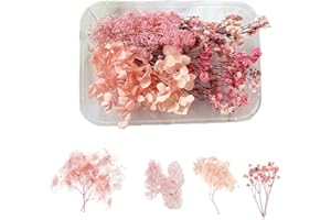 KSJEHW Flores Secas Naturales y Preservadas para Resina Epoxi, Velas, Álbumes, Recortes y Manualidades (Rosa)