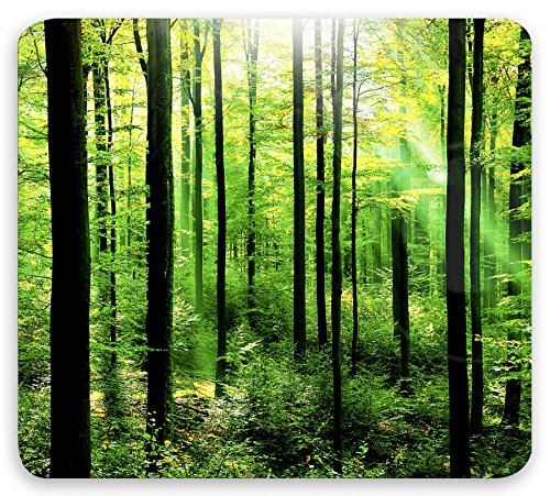 Wenko 2712969500 Multi-Platte Wald für Glaskeramik Kochfelder, Schneidbrett, Gehärtetes Glas, 50 x 0,5 x 56 cm, mehrfarbig