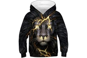EUDOLAH Garçon Sweat à Capuche 3D Motif avec Poche Animaux Bande Dessin Manches Longues Enfants 4-16 Ans