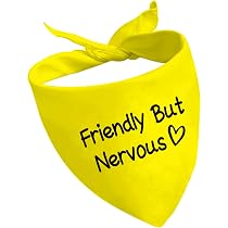 CENWA Hundeleine 'Friendly But Nervous/Give Me Space' – 150 Cm, 3,3 Cm Breit, Polyester, Für Angsthunde