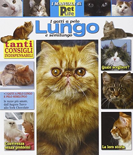 I gatti a pelo lungo e semilungo