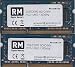 Produktbild Raptor Memory 4GB Kit (2 x 2GB) DDR3 SO-DIMM PC3-10600 1333Mhz Notebook Laptop RAM Memory Arbeitsspeicher