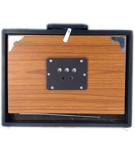 Tanpura Elettronica RADEL Saarang Maestro DX - Shruti Box Digitale Con Suono Realistico - Foto 3