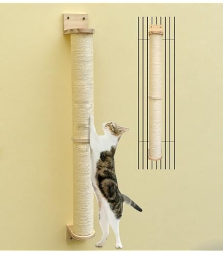 Feandrea Collection Clickat - N°008 Étagère Murale pour Chat Large, Montage Hyper Rapide