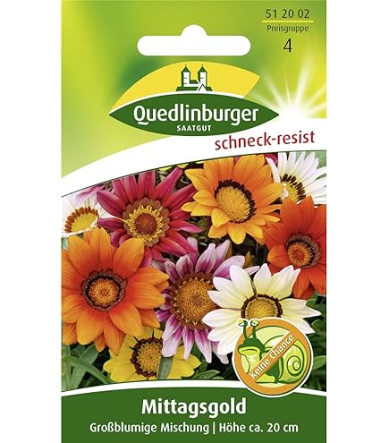 Mittagsgold Gartenstern , einjhrig, fr Beete, Rabatten, Schalen 'Gazania  Hybride' Mittagsblumen : Amazon.de: Garten