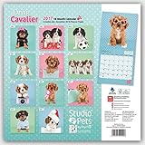 Image de Dear Cavalier - Cavalier King Charles Spaniel 2017 - 18-Monatskalender: Original Myrna-Kalender