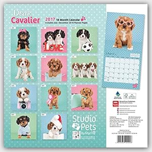 Dear Cavalier - Cavalier King Charles Spaniel 2017 - 18-Monatskalender: Original Myrna-Kalender [Mehrsprachig]