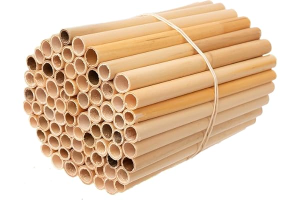 Super Idee Lot de 100 tubes de roseau pour la construction d'hôtel à insectes,Longueur : 15 cm,Imperméable,Intérieur lisse,Maison à abeilles,Aide à la nidification