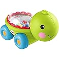 Fisher Price - Poppity Pop Turtle