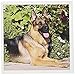 Produktbild 3drose ein Deutscher Schäferhund von viel Grün NA02 zmu0150 Zandria Muench Beraldo Grußkarten, Set 12 (GC _ 140430 _ 2)