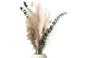 ‎MIA MILANO Trockenblumen Strauß mit echtem Pampasgras und Eukalyptus I Getrocknete Blumen Deko Wohnzimmer I Boho Blumenstrauß aus getrockneten Naturprodukten