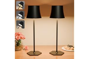 EUARY Lampada LED Ricaricabile Senza Fili,Adatta Tavolo,Comodino,Scrivania,Soggiorno,Ambienti Interno,Esterno.3 Temperature Colore Regolabili,Caricamento USB