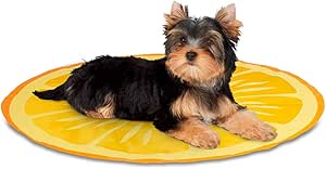 dog cooling mat watermelon