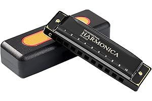 TWINKLING AT DOWN Armónica 10 Agujeros en Do JDR - Incluye Estuche de Transporte y Paño de limpieza - Instrumento Musical para Niños y Principiantes(Negro)