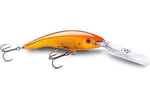Rapala - Deep Tail Dancer Fishing Lure