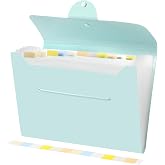 Brencco Expanding A4 Accordion Folder, 13 Pockets, Light Green | A4 PP File Folder with Labels, for Organizing Documents in S