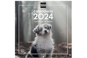 Finocam - Calendario 2024 Imágenes de Pared 30x30 para Escribir Enero 2024 - Diciembre 2024 (12 meses) Cachorros Español