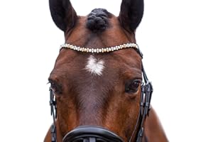 MagicTack Stirnriemen für Pferde Größe Warmblut Trense Gold, Silber (43cm)