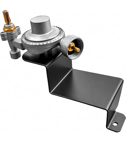 Weber 80477 Valve & Regulator for Q100 & Q120 (2004-2013