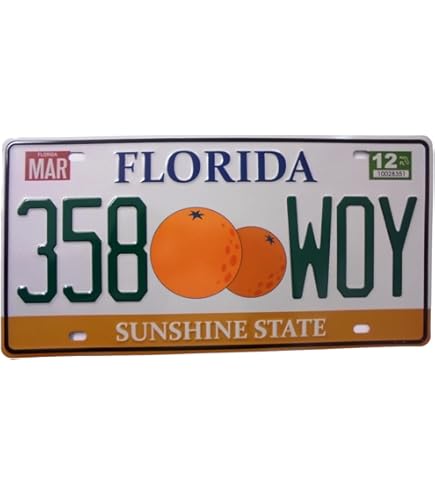 Targa Auto USA California Replica - 30x15 Cm Metallo, Con Mappa, Collezione O Decorazione - Foto 12