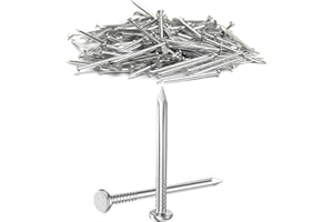 Dayalo Lot de 50 clous en acier inoxydable de 16 mm pour murs en béton, clous, bois, briques, pour une utilisation sur le béton, la brique, le plâtre et le bois