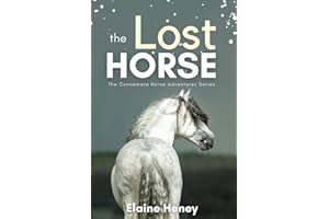 The Lost Horse - Book 6 in the Connemara Horse Adventure Series for Kids | The Perfect Gift for Children age 8-12 (Connemara Adventures)