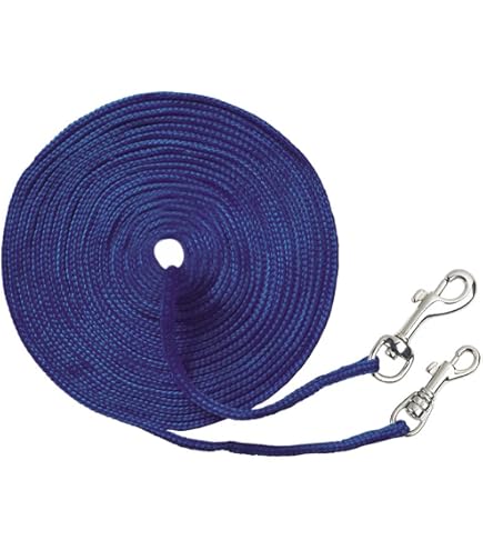 Lange Katzenleine 9m Mit Sicherheits-Bremsschnalle – Reflektierende Verlängerungsleine Für Hof & Garten