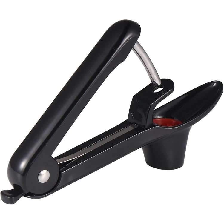 Évideur Et Dénoyauteur En Acier Inoxydable - Pour Pommes, Poires, Cerises, Jujubes - Longueur 17,8 Cm, Facile à Utiliser Et à Nettoyer