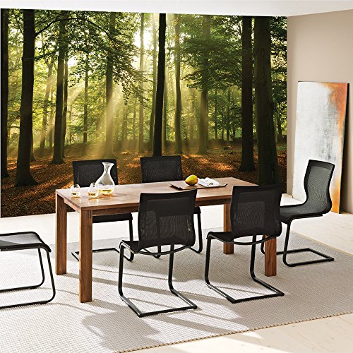 Vlies Fototapete 416x254cm PREMIUM PLUS Wand Foto Tapete Wand Bild Vliestapete – Wald Tapete Laubbaum Laubwald Sonne Sonnenstrahlen bunt – no. 3287 - 7